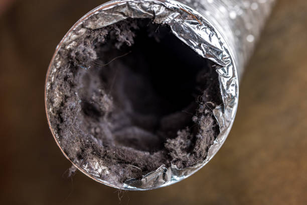 Best Emergency Air Duct Cleaning  in Madison, NC