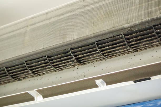 Best HVAC Air Duct Cleaning  in Madison, NC